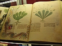 Fiera Del Libro 107
